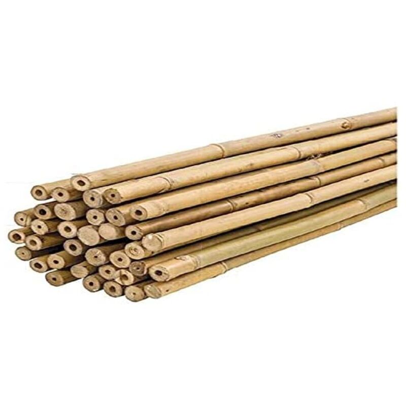foto del prodotto canne di bamb 60 cm confezione 25 unit 6 8 mm paletti per piante di pomodoro, ortaggi e alberi paletti per piante di varie dimensioni. resistenti