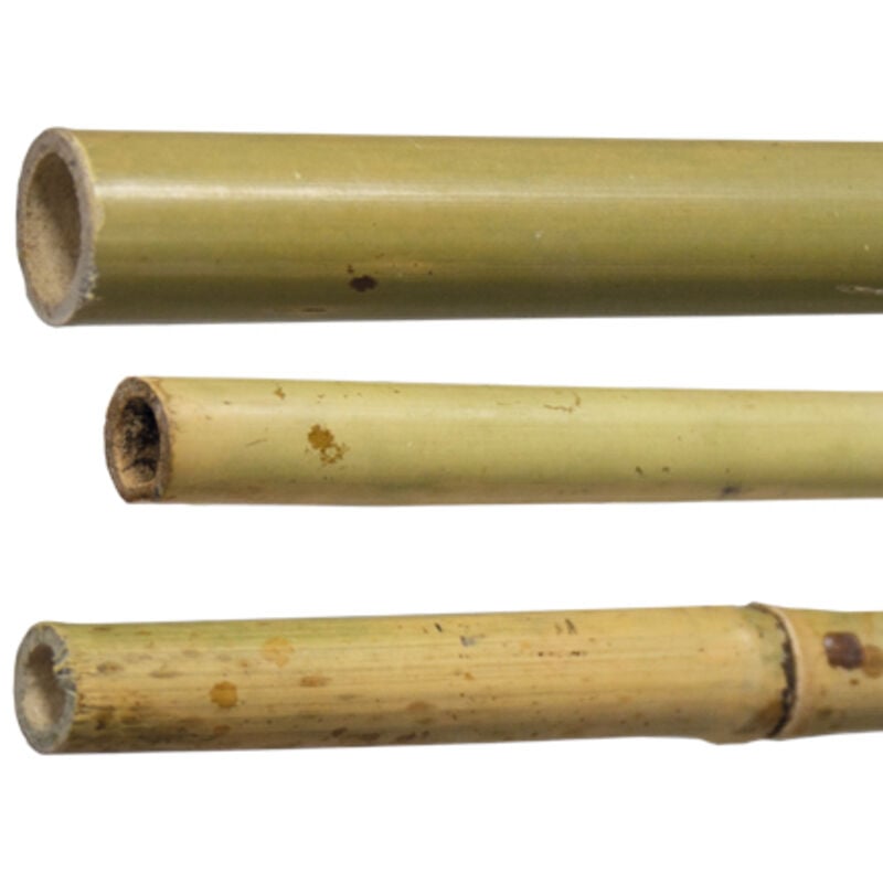 foto del prodotto canne in bamboo h210 cm. diam. 24 26 mm. conf. 25pz