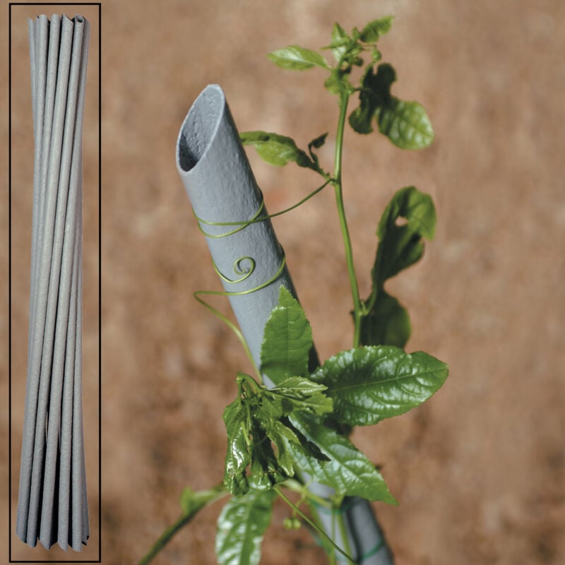 foto del prodotto cannetta pvc p piante vigna d 23xh150 cm 20 pz