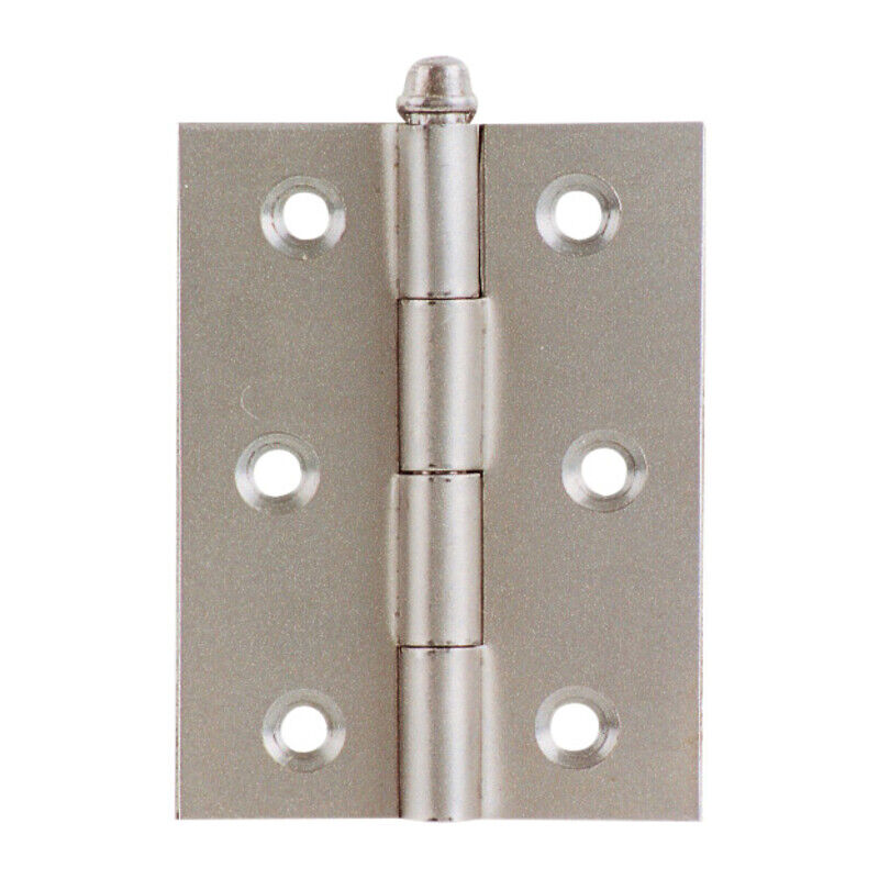 foto del prodotto capaldo blister cerniera ferro zin 96 pesante 50x60 mm. da 2 pezzi