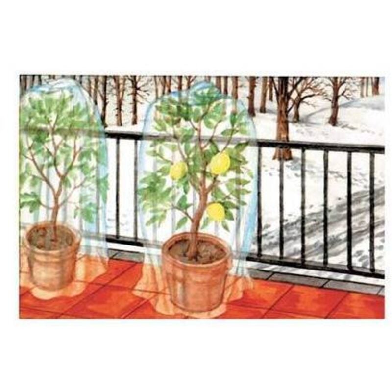 foto del prodotto cappuccio antigelo tnt protezione piante stars bianco gr/mq 17 cf pz 3 cm 150 h.cm 180