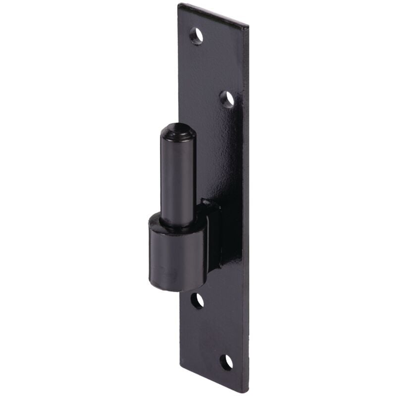 foto del prodotto cappuccio con vite 16x13 mm, cataphoresi, rivestimento nero a immersione