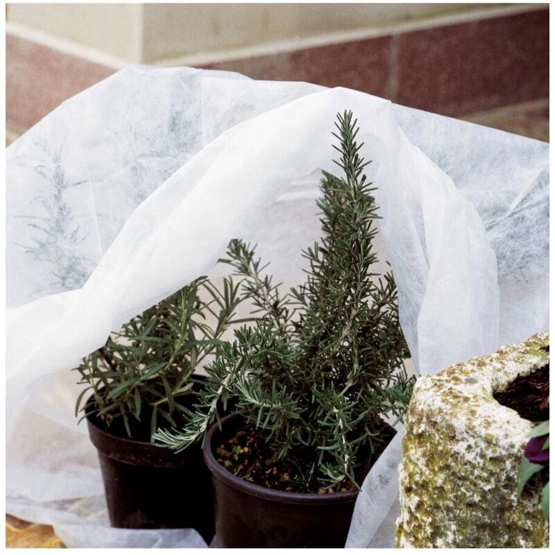 foto del prodotto cappuccio per piante tnt 3pz 1x1.6 m