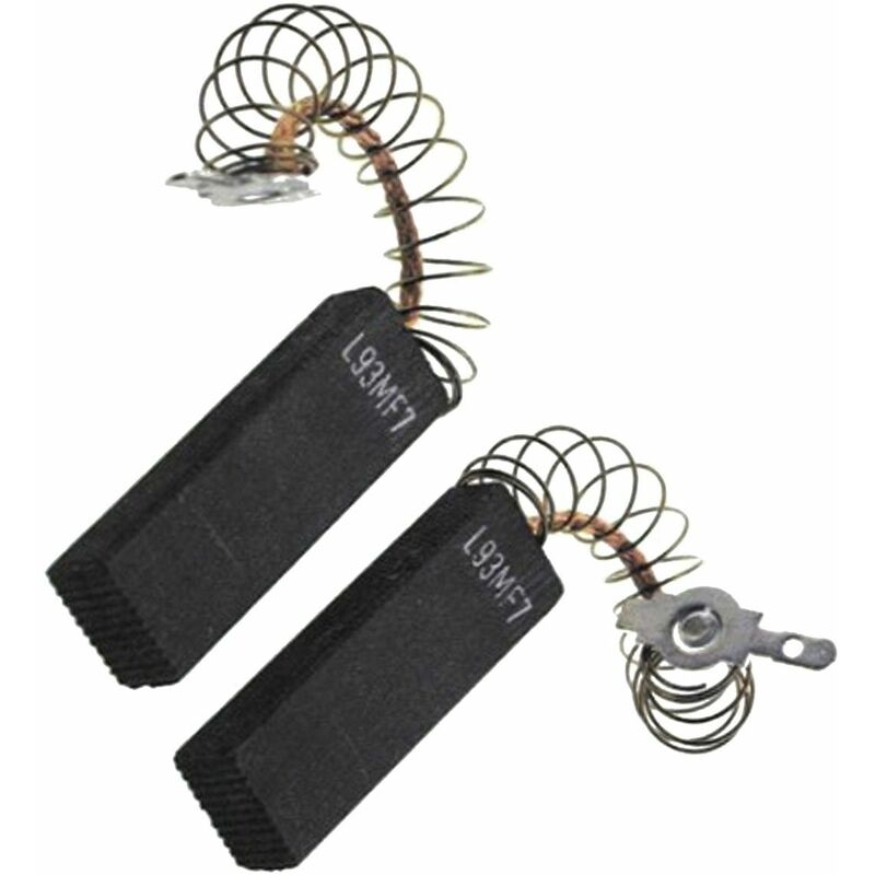 foto del prodotto carboni motore x2 lavatrice aeg 3014054423489182009