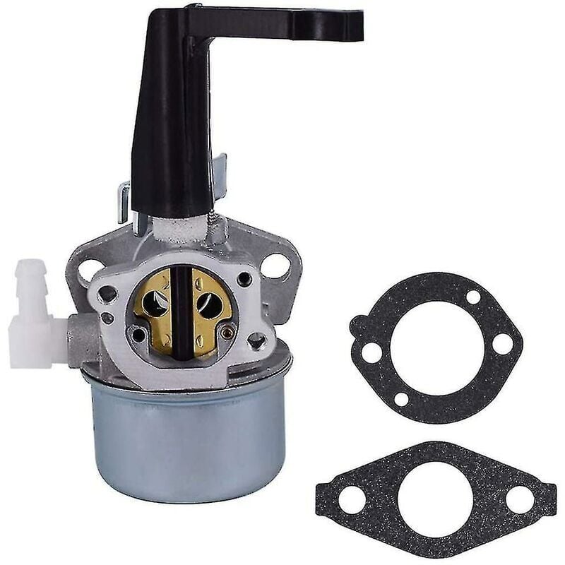 foto del prodotto carburatore 696065 697422 con guarnizione per briggs stratton 110402