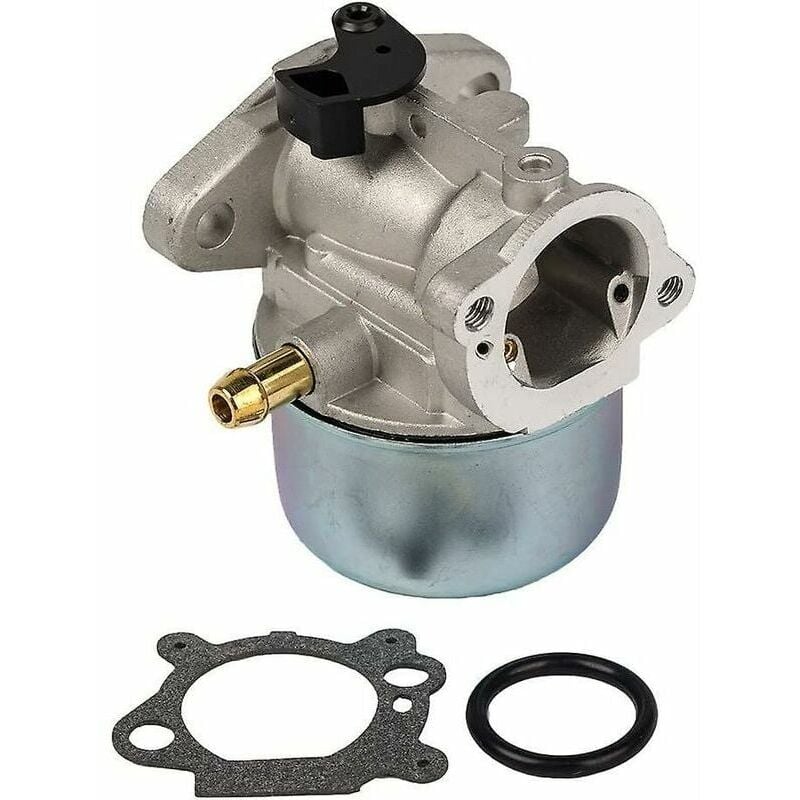 foto del prodotto carburatore 799868 carburatore con guarnizione e o ring