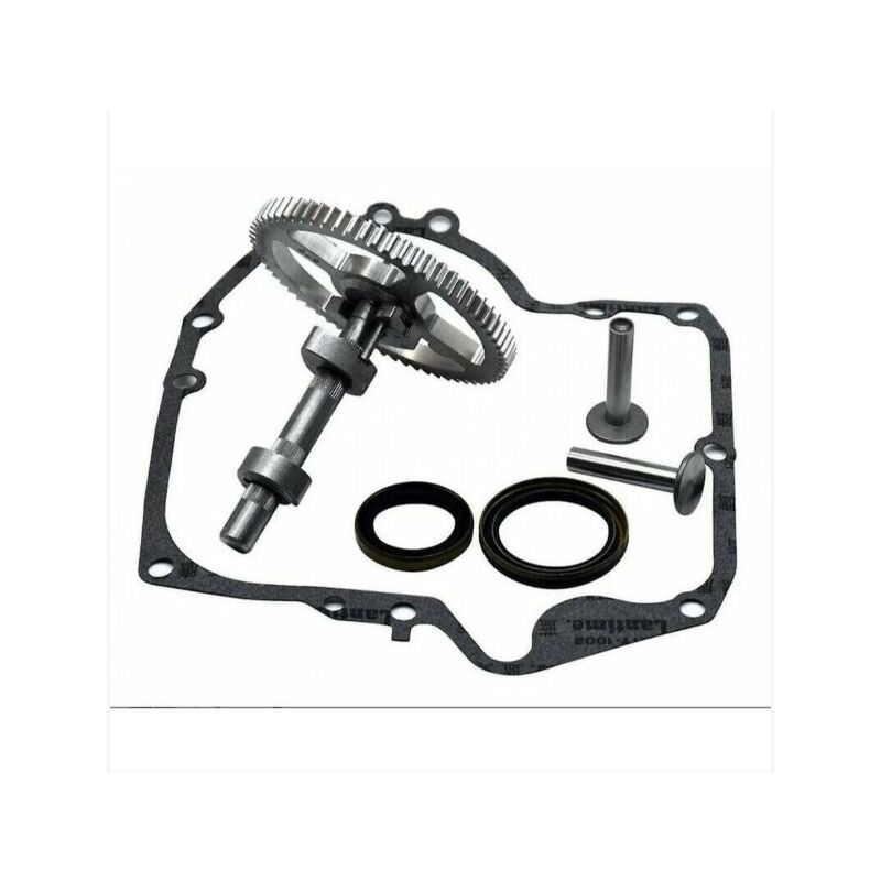 foto del prodotto carburatore, alberi a camme briggs stratton 793880 793583 792681 791942 795102 kit di sostituzione camme
