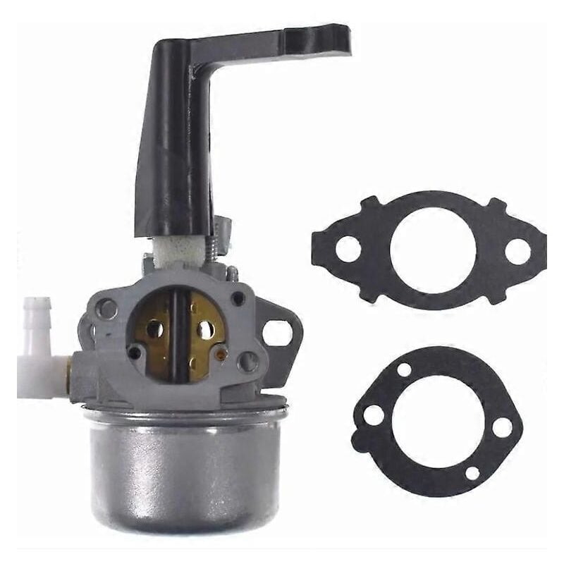 foto del prodotto carburatore di ricambio 696065 con kit guarnizioni per carburatore briggs stratton alovez