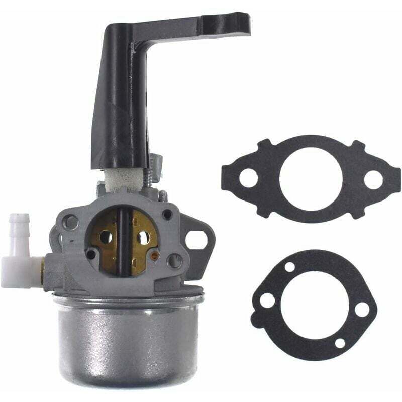 foto del prodotto carburatore di ricambio con kit guarnizioni per briggs stratton 696065 697422 110402 0206 e1 dpzo