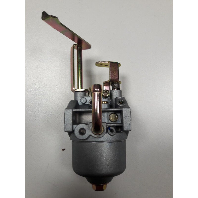 foto del prodotto carburatore lg gt t r pubert
