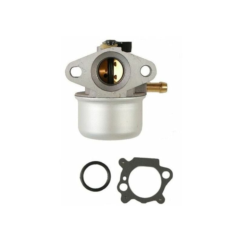 foto del prodotto carburatore motore briggs stratton 498170