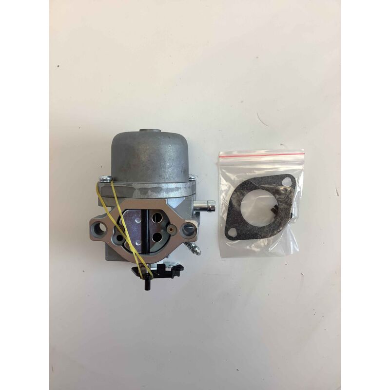 foto del prodotto carburatore motore compatibile briggs stratton 799728
