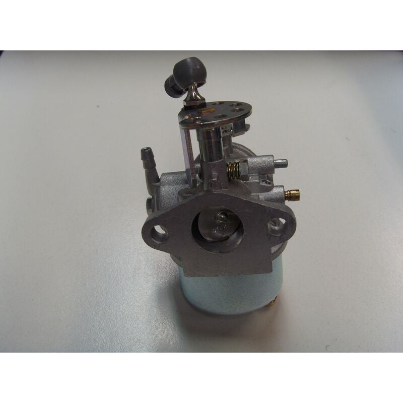 foto del prodotto carburatore motore motocoltivatore rasaerba tagliaerba dell'orto 7354