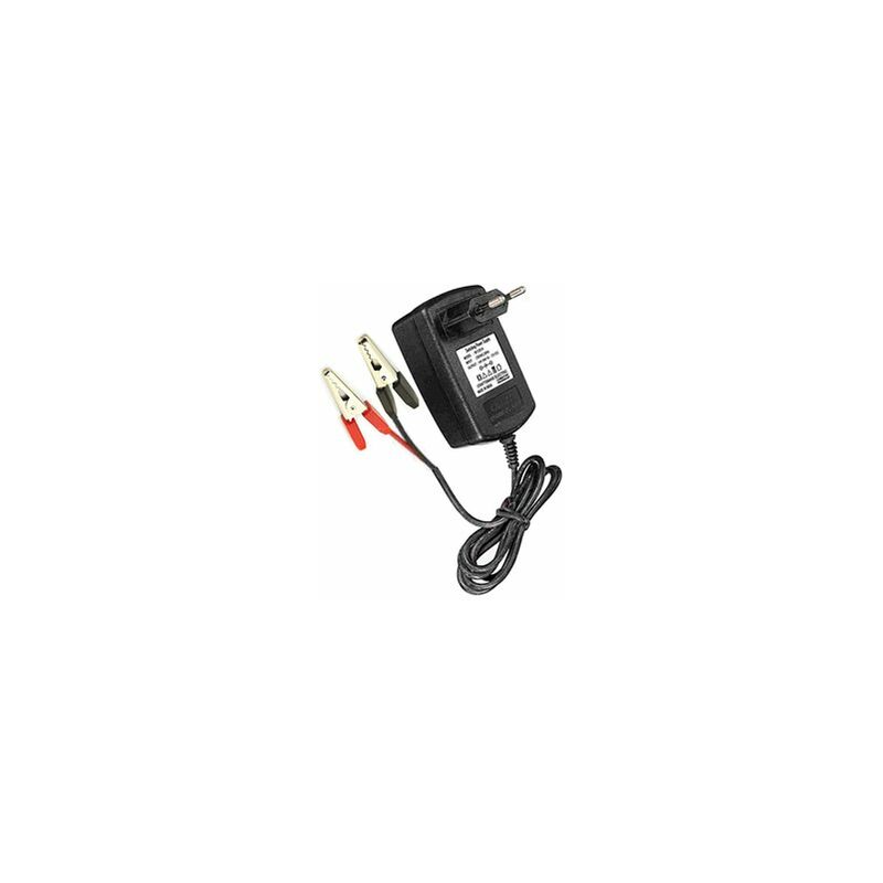 foto del prodotto caricabatteria 12v 4ah 4131996esp pastormatic