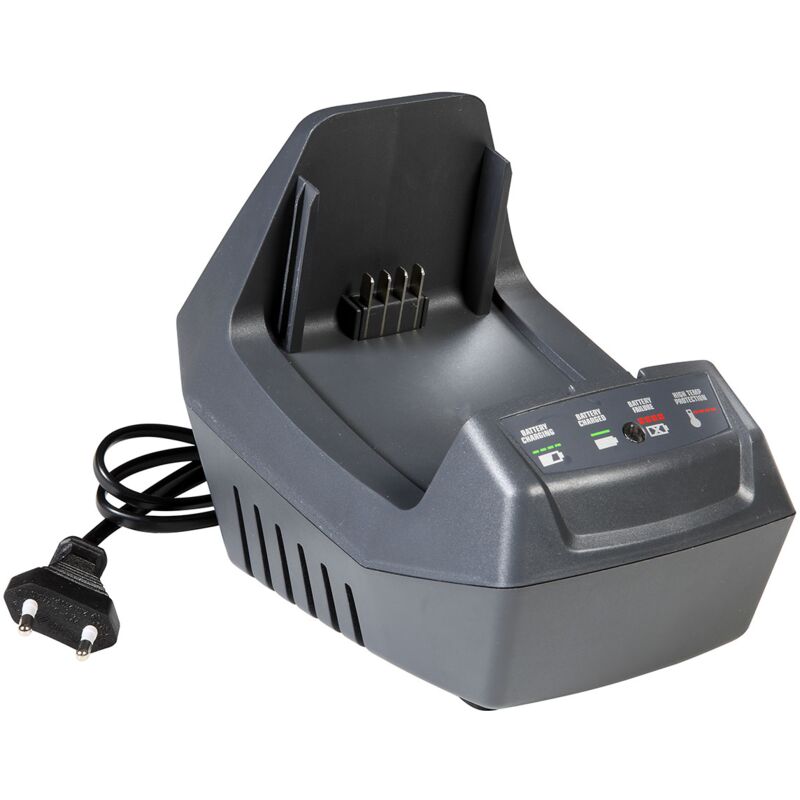 foto del prodotto caricabatteria standard crg 40 v 2 5 ah