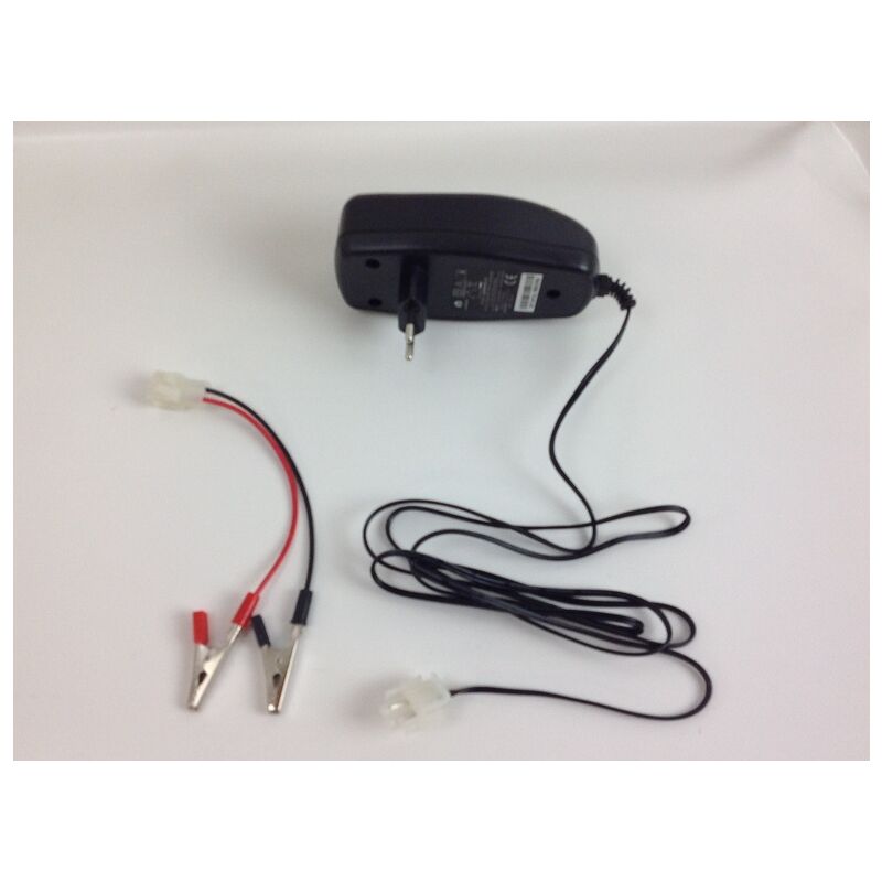 foto del prodotto caricabatteria trattorino rasaerba castelgarden 12v 1ah 182180118 0 182180090 0