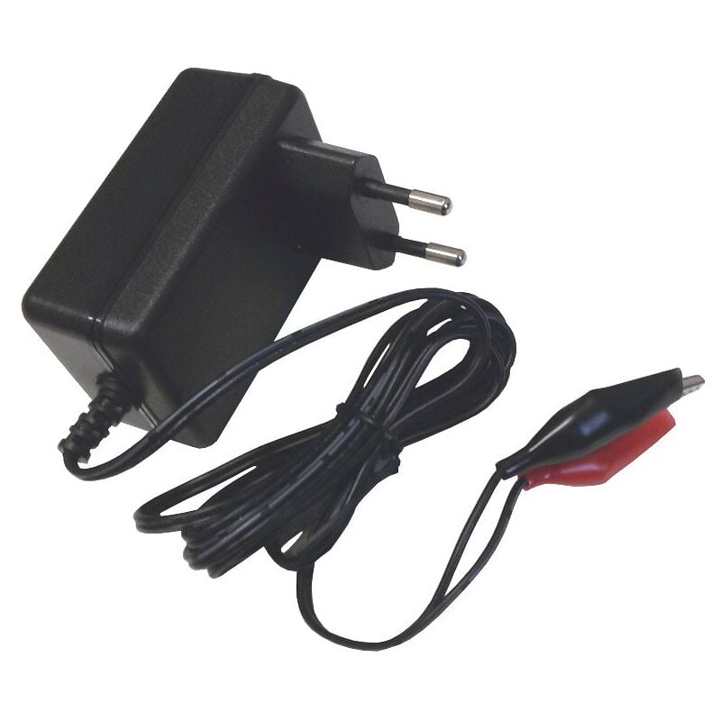 foto del prodotto caricabatterie per batterie al piombo ermetiche 12v 2a con connettori a coccodrillo