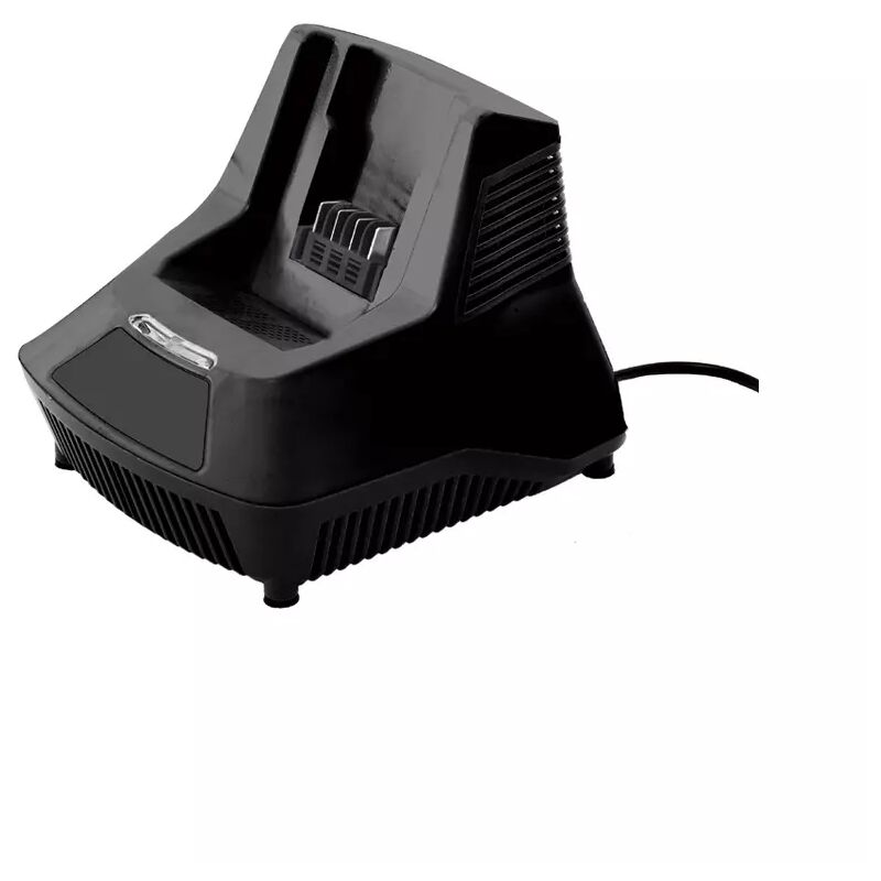 foto del prodotto caricabatterie singolo freemow 40v 5,1a
