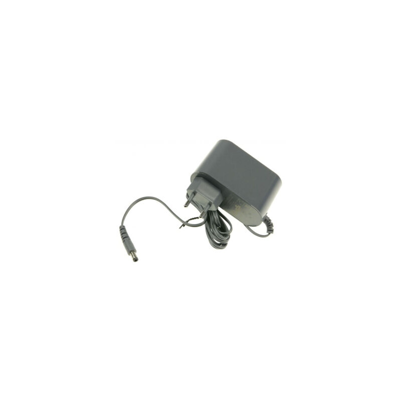 foto del prodotto caricatore da 29 v per x force flex 8.60 rowenta aspirapolvere