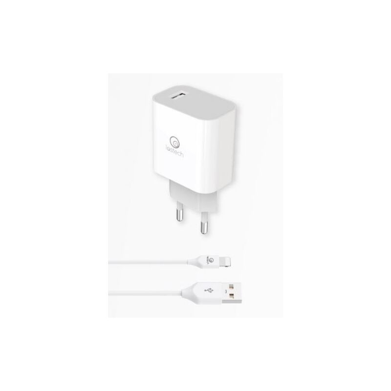 foto del prodotto caricatore rapido 18w c cavo lightning 1m