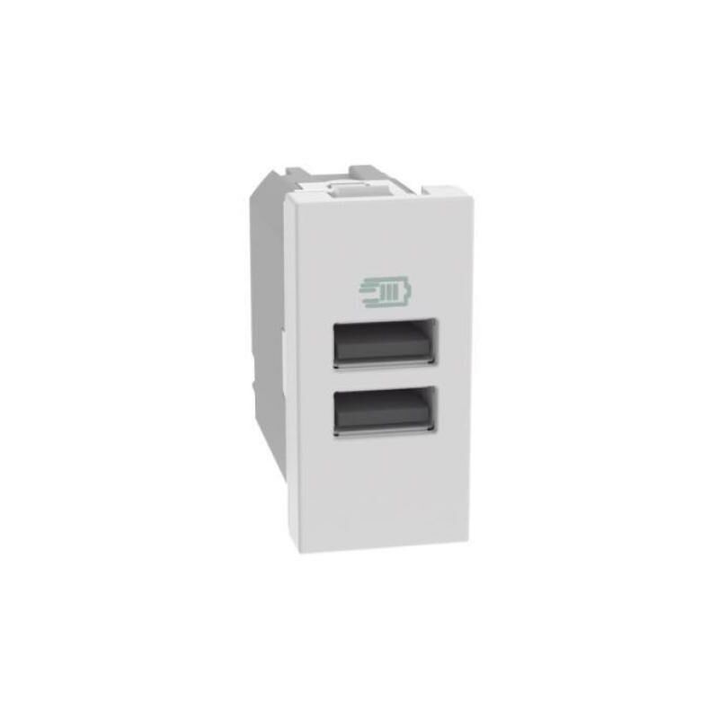 foto del prodotto caricatore usb bticino matixgo due porte tipo a 1 modulo bianco - jw4191aa