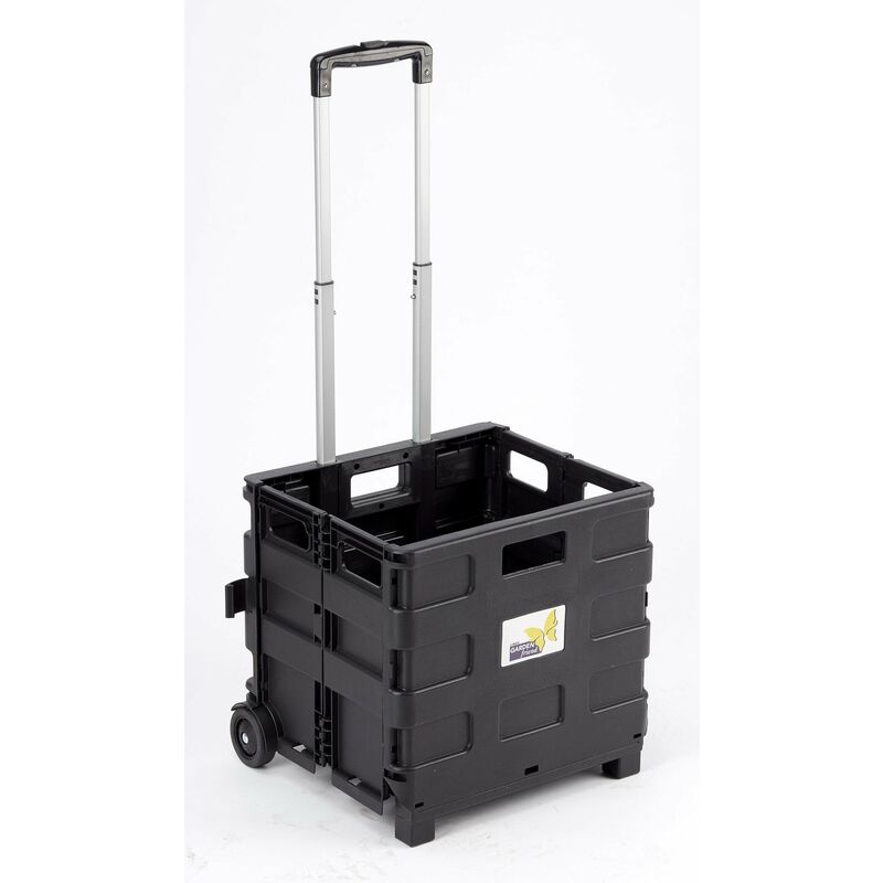 foto del prodotto carrello da trasporto pieghevole max 25 kg in alluminio e plastica ranieri nero