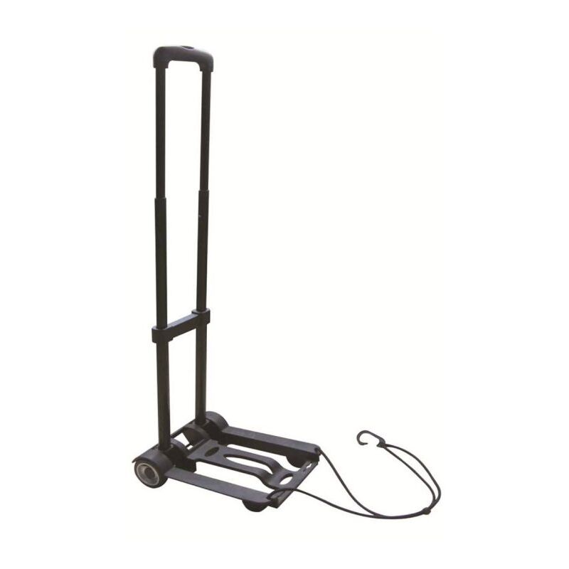foto del prodotto carrello piegh 30kg serena group