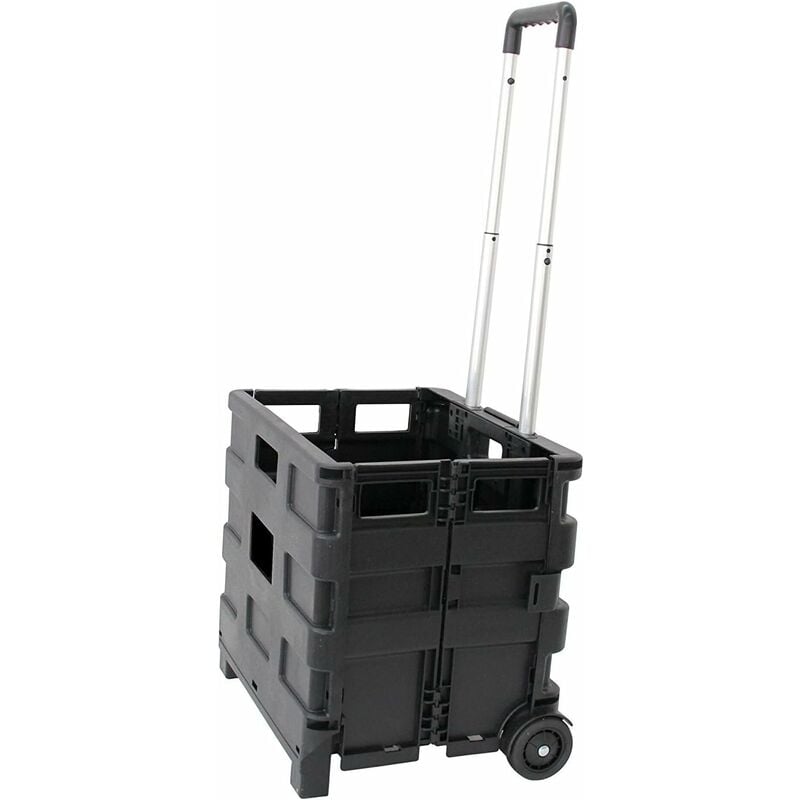 foto del prodotto carrello trasporto con cassa pieghevole in plastica portata fino 25kg 38x33x87cm