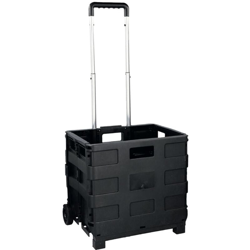 foto del prodotto carrello trolley shopping