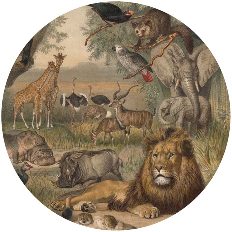 foto del prodotto carta da parati circolare animals of africa 190 cm wallart