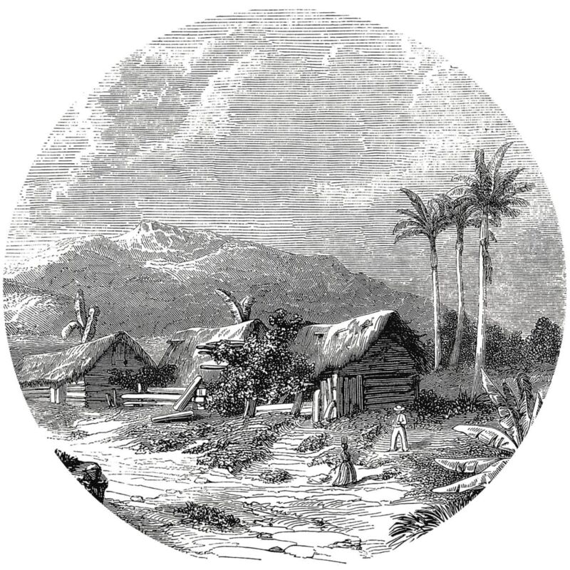 foto del prodotto carta da parati circolare landscape of guadeloupe 190 cm wallart