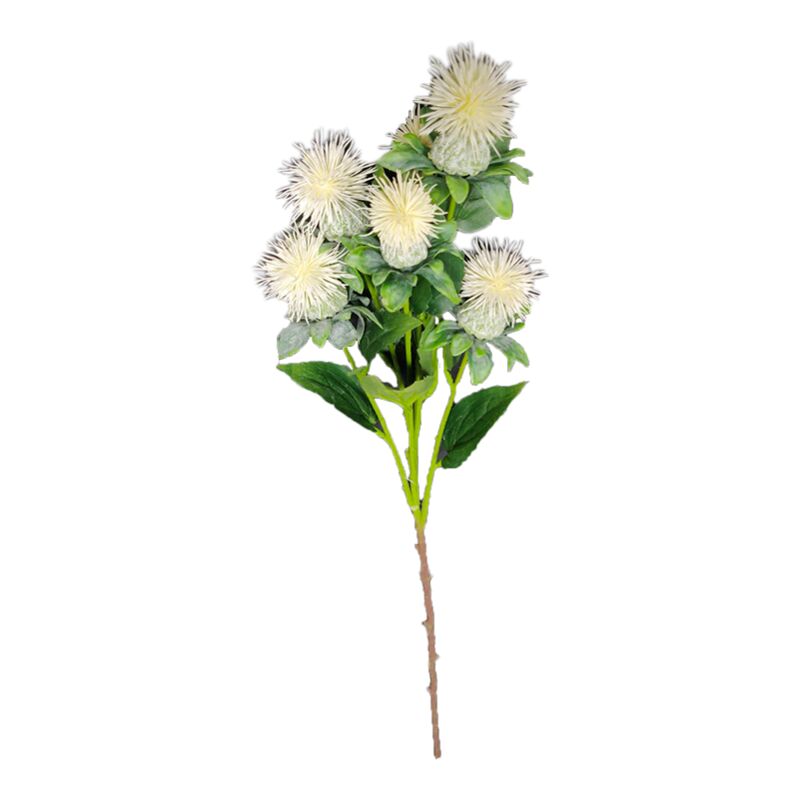 foto del prodotto cartamo 79 cm bianco