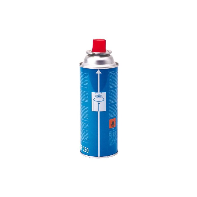 foto del prodotto cartuccia a valvola cp250 da 220g di butano