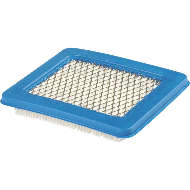 foto del prodotto cartuccia filtro aria originale briggs and stratton 491588s