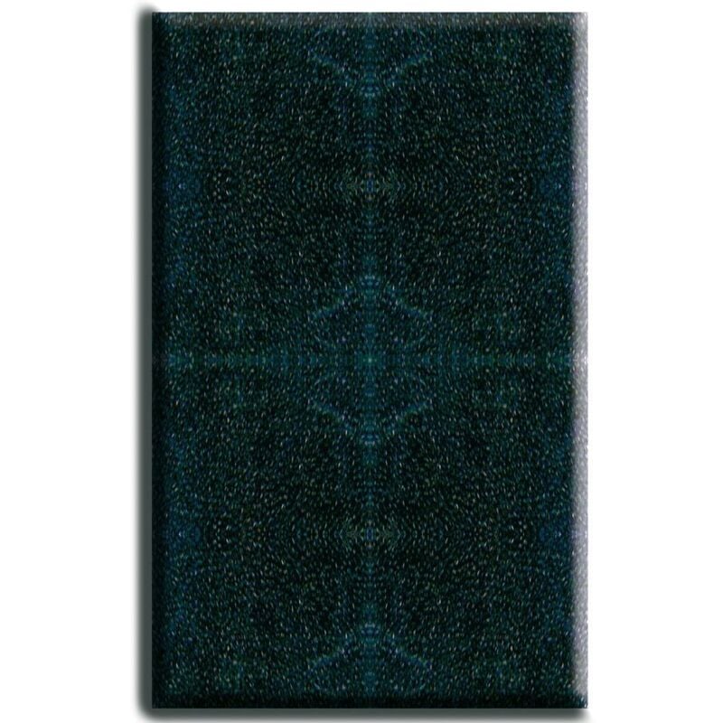 foto del prodotto cartuccia in spugna filtrante per filtro niagara 370