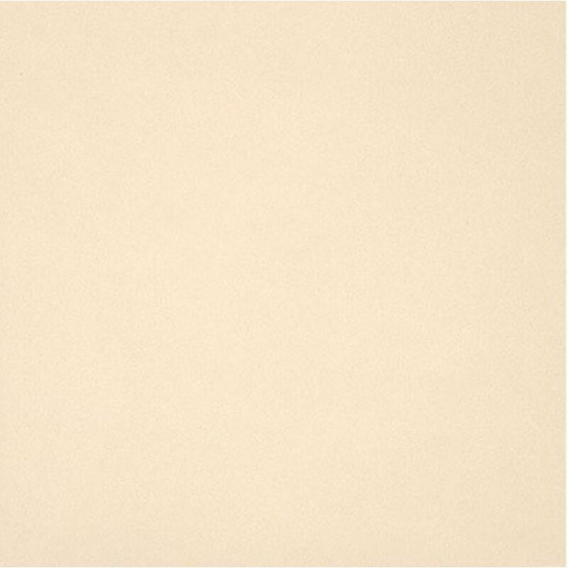 foto del prodotto casa gres porcellanato unicolore bianco a11 12 mm 20x20 11 1 0,88 mq lgrande