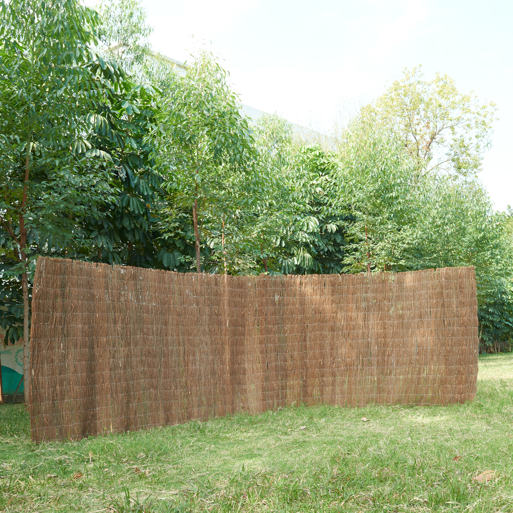 foto del prodotto casa.pro recinzione brielle in rami secchi schermatura a tappetino 500 x 100 cm densit areale 1,5 kg m 