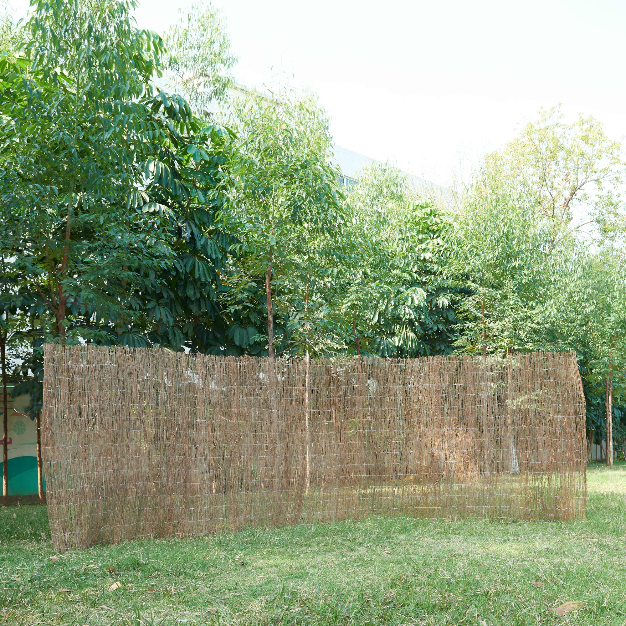 foto del prodotto casa.pro recinzione brielle in rami secchi schermatura a tappetino 500 x 200 cm densit areale 0,9 kg m 