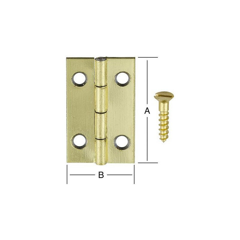 foto del prodotto casella di cerniera. ottone placcato 20x12mm. 4 unit 