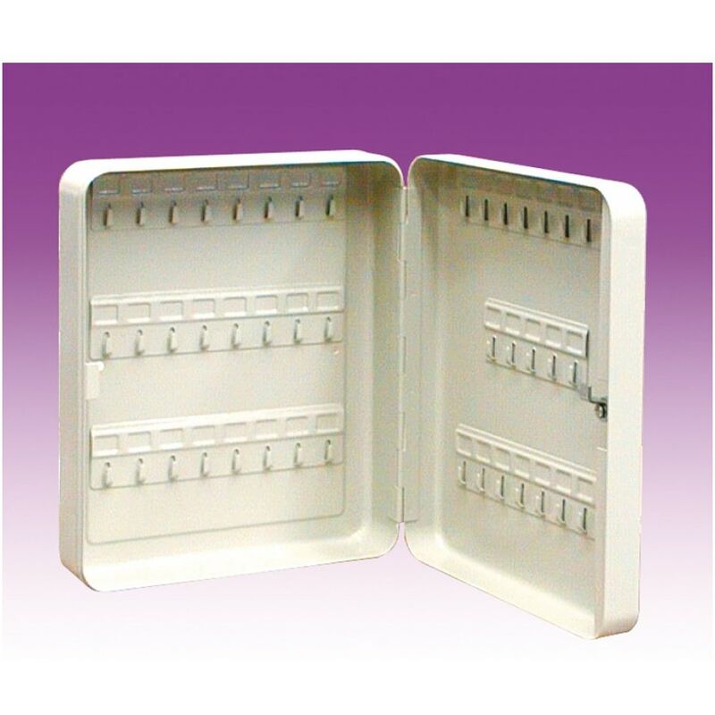foto del prodotto cassetta portachiavi 48 posti mm. 180x80x250 h