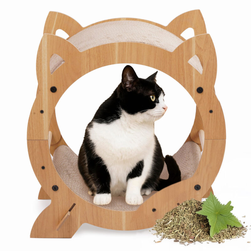 foto del prodotto cat scratcrator, letto tiragraffi, casa di cartone, scatola di cartone