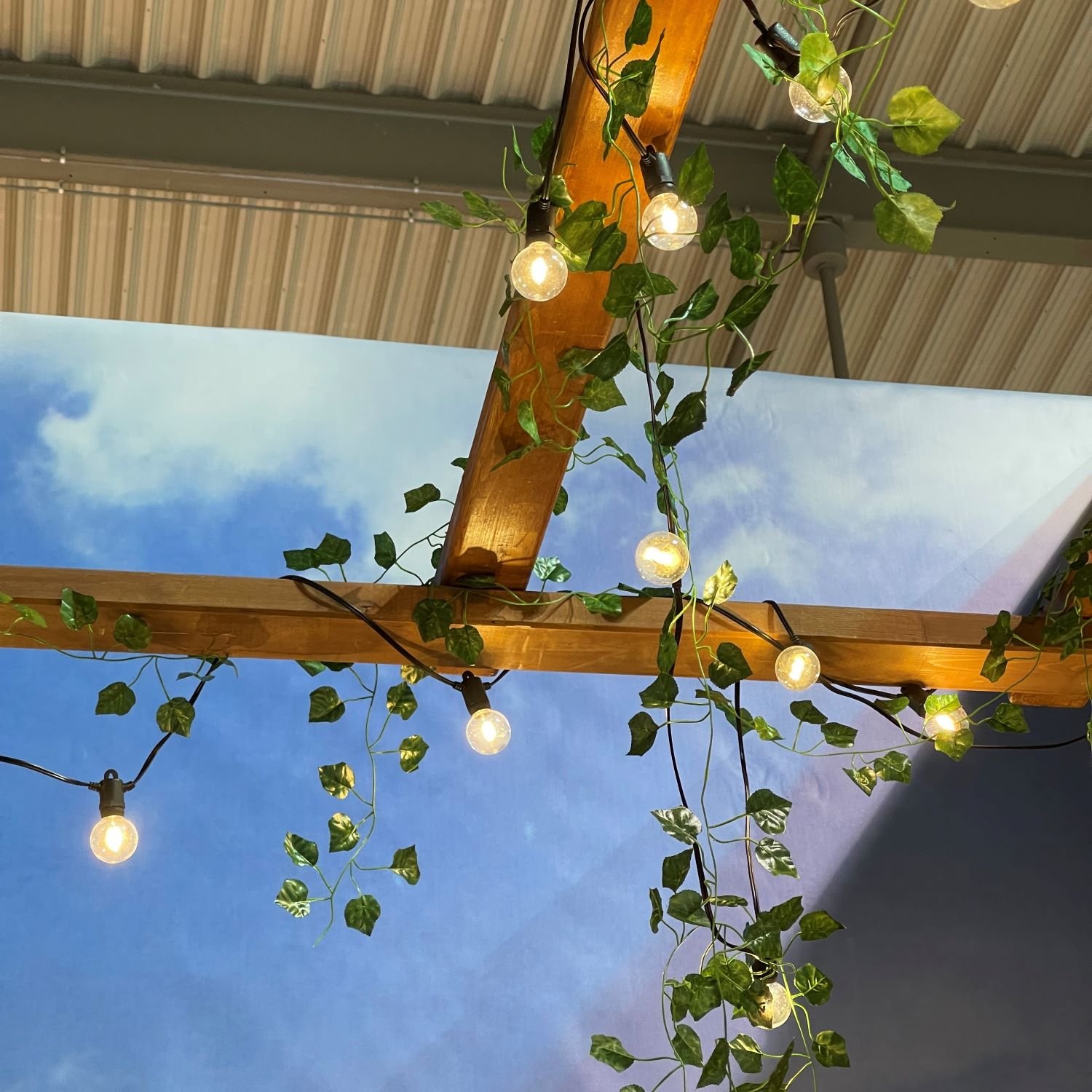 foto del prodotto catena solare 2,5x5m con 12 lampadine g40