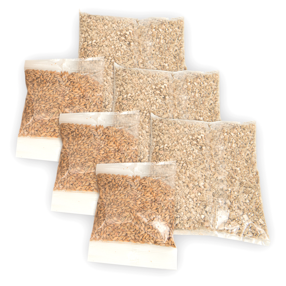 foto del prodotto catit senses 2.0 cat grass kit 3 x semi di erba gatta 3 x vermiculite