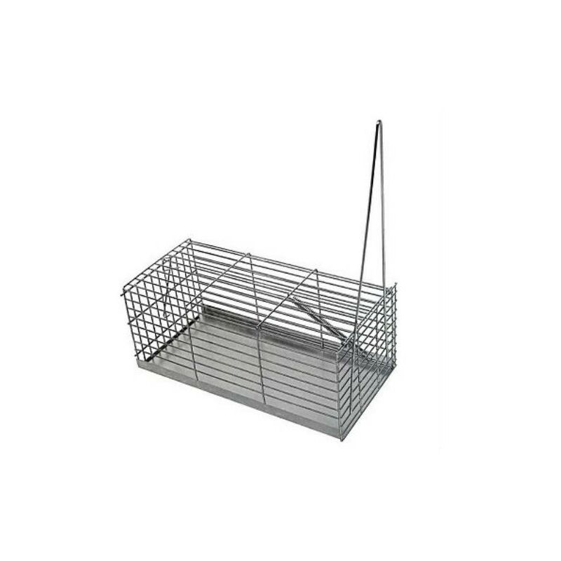 foto del prodotto cattura e topi cattura gabbia 30 cm