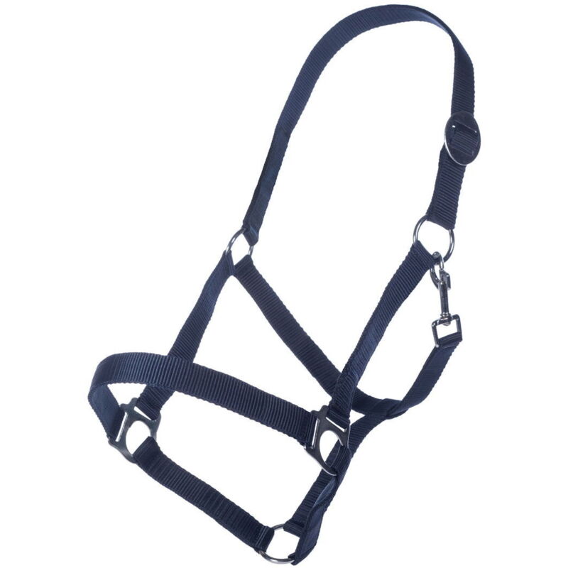 foto del prodotto cavezza per cavalli in nylon con fibbie in metallo modello classic cob, blu scuro