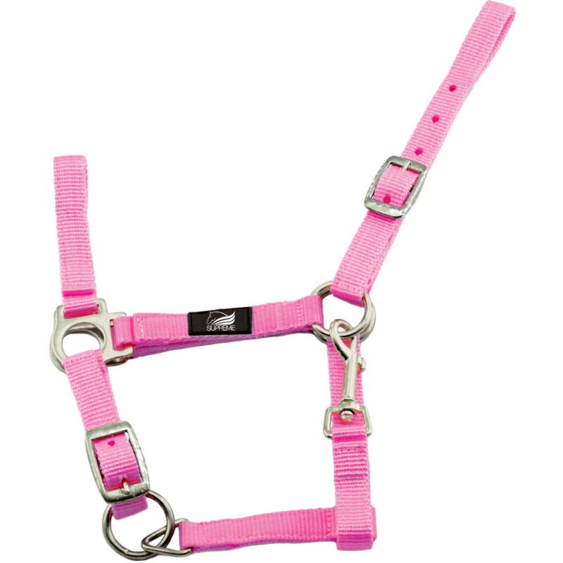 foto del prodotto cavezza per puledro in nylon doppia regolazione con moschettone shetland mini mini 000, lime