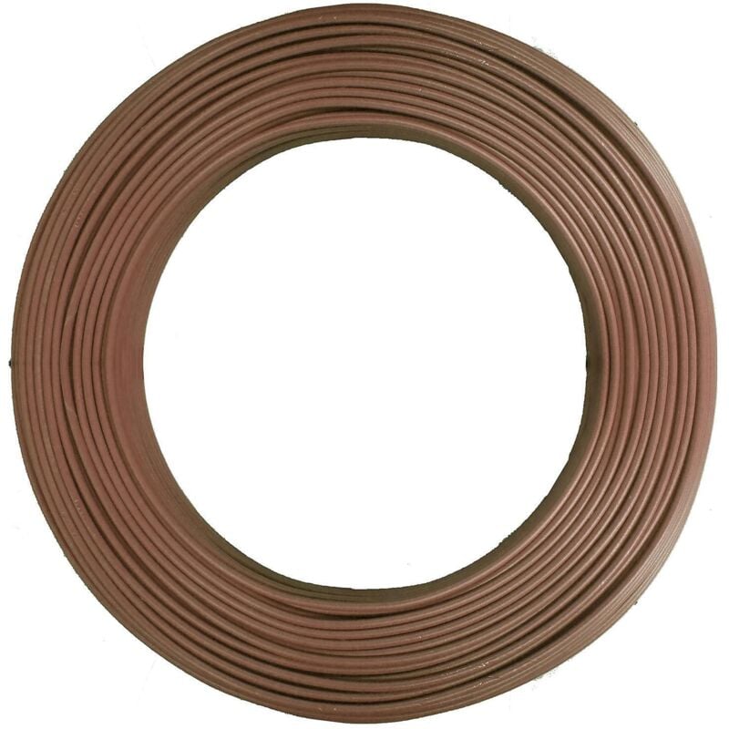 foto del prodotto cavo elettrico electraline fs17 1x2,5 mm 450 750v marrone matassa 10m 13151