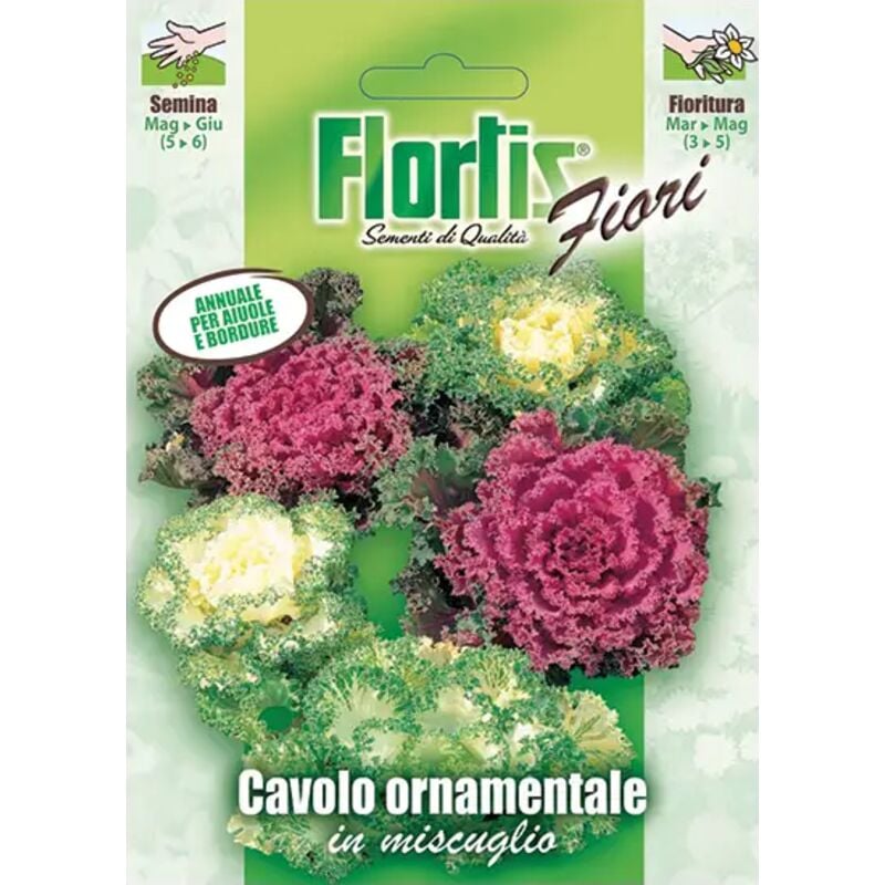 foto del prodotto cavolo ornamentale flortis
