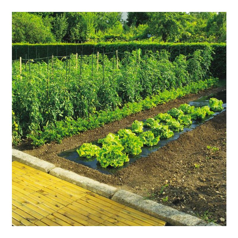 foto del prodotto celloplast pellicola per pacciamatura 1,4 x 10 terrafilm nortene