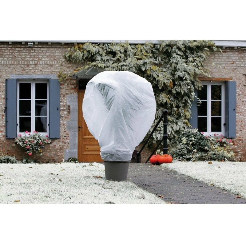 foto del prodotto celloplast vela invernale nortene wintertex bianca 30gr m2, 2x5m nortene